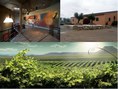 The Wine Route of Lleida-Costers del Segre
